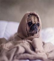 日照有这样的手机号码，留不住钱，你中枪了吗？