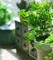 日照专属于你的开运指南，助你鸿运当头福满身！