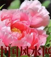 日照预示你财运上升，姻缘可成的梦境，快来看看吧！