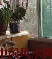 日照有这些坏习惯，只会让财运从你身边溜走~