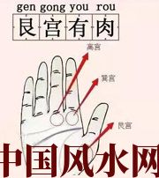 日照这个地方肉越多，财运就越好