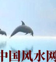 日照做梦梦到这些，是要富裕的征兆！