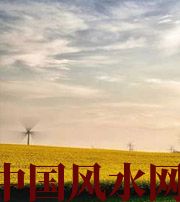 日照风水知识：家里怎么布置财运更好？