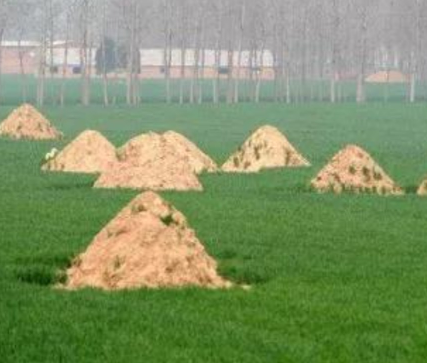 日照阴宅风水：形峦三十六绝